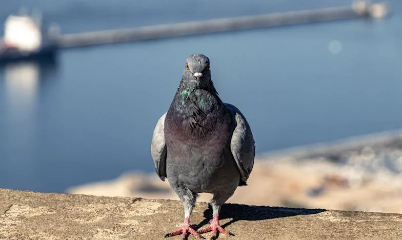 Toen mijn beste vriendin mijn leven verwoestte: het verhaal van een ondenkbare verraad