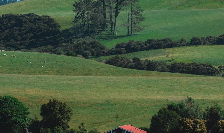 Twee Vriendinnen, Eén Huis: Wat Kan Er Misgaan?