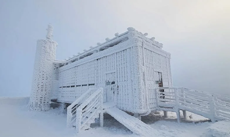 Waarom zou ik nu voor haar zorgen? Ontmoet Jeroen, het gouden kind: Mijn strijd als dochter in een Nederlands gezin