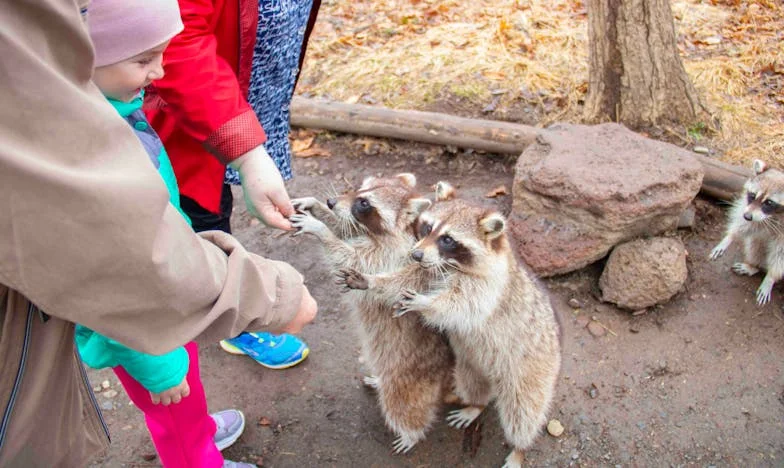 Een Nieuw Hoofdstuk: Hoe Mijn Schoonmoeder Ons Gezin Veranderde