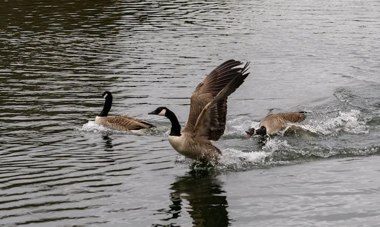 Mijn schoonzus stormde mijn huis binnen en eiste de feestdagen bij ons – wat daarna gebeurde, verscheurde onze familie