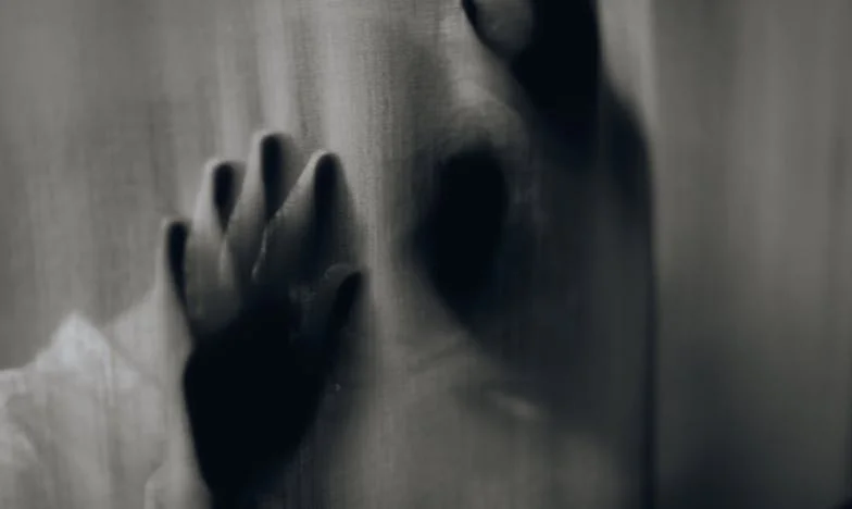 Schaduwen Achter het Witte Hek: Het Verhaal van Veronica