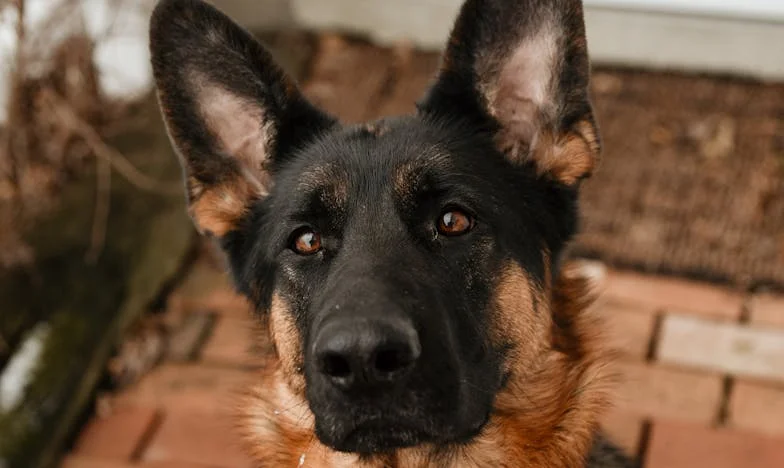 Wanneer familie een last wordt: Mijn strijd om grenzen, loyaliteit en mijn eigen leven