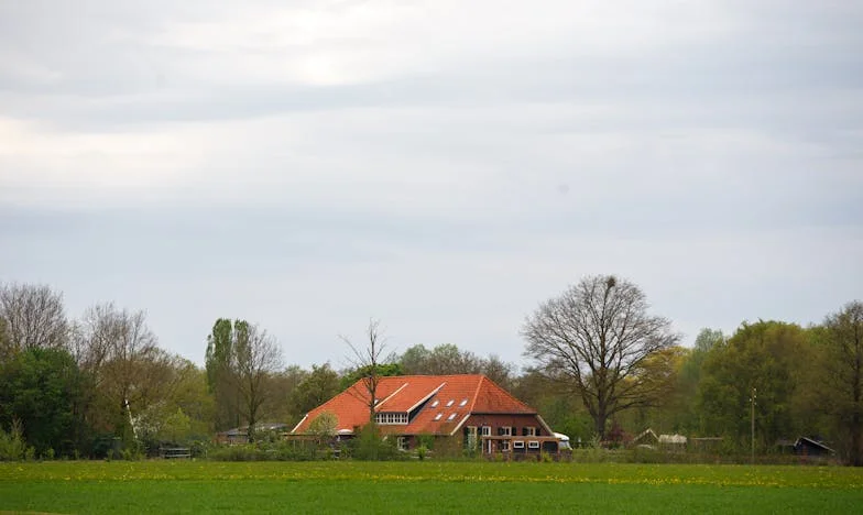 “Als je geen orde kunt houden, kun je vertrekken” – Mijn strijd met de obsessie van mijn man die ons gezin brak