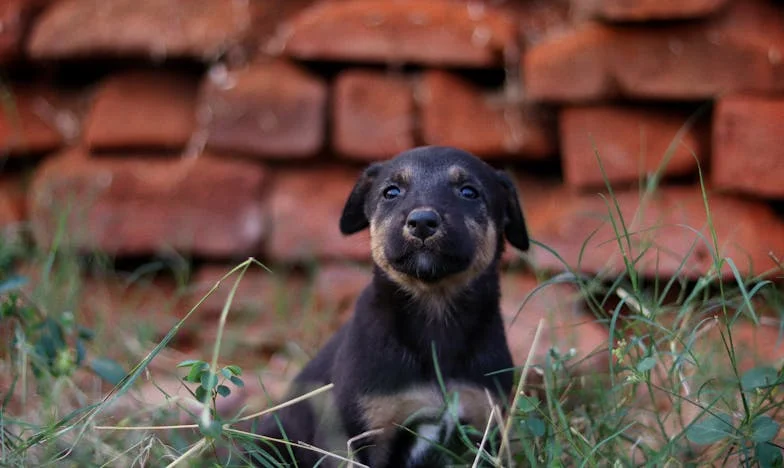 Onverwacht bezoek om tien uur: Wat ik aantrof achter de deur van mijn zoon