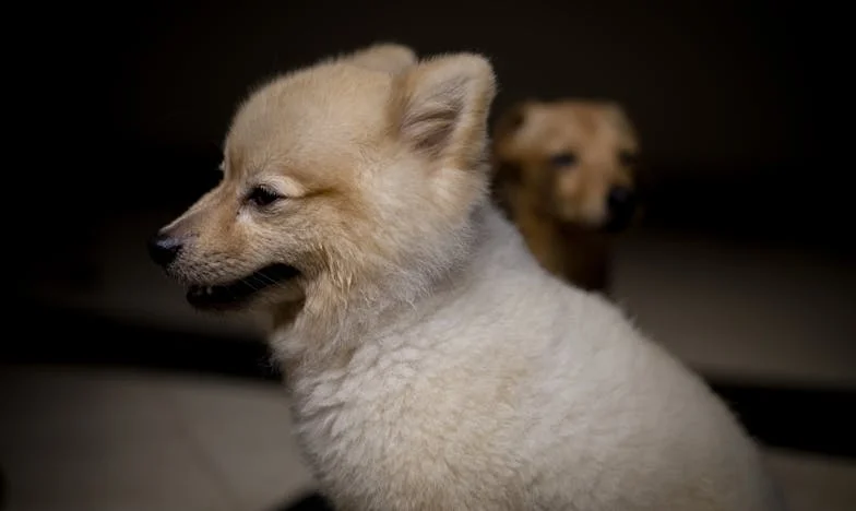 Toen een onschuldig etentje alles veranderde: over vriendschap, grenzen en een onverwachte wending