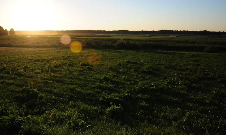 Het Onmogelijke Pad Terug: Mijn Leven na Drie Decennia zonder Anna
