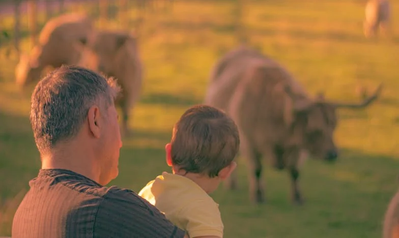 Wanneer bloed als verraad voelt: Een moederhart verscheurd door de keuzes van haar zoon