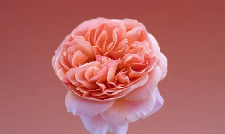 Bajo el trueno de la ciudad: una noche en la tormenta