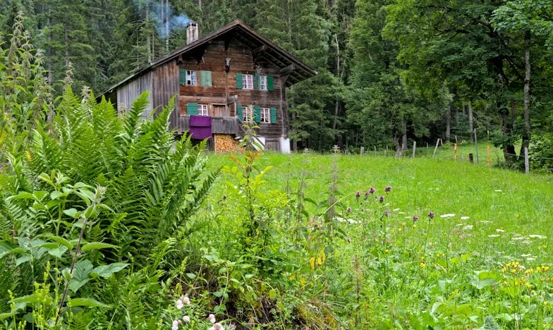 Cuando el amor se enferma: La historia de Bárbara