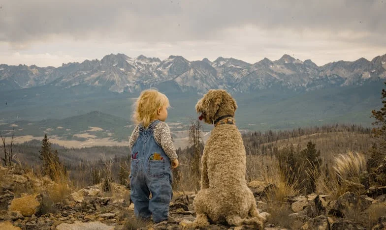 Cuando el perdón no alcanza: La historia de Mariana, Julián y un error que cambió todo