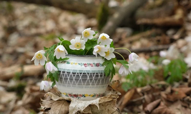 Cuando la vida se parte en dos: La historia de Mariana y el eco de la soledad