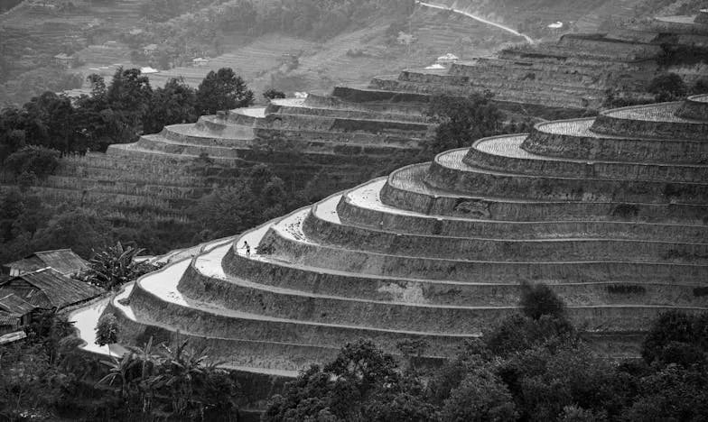 Cuando mi hijo quiso llamar ‘mamá’ a mi suegra: El día que mi paciencia se quebró