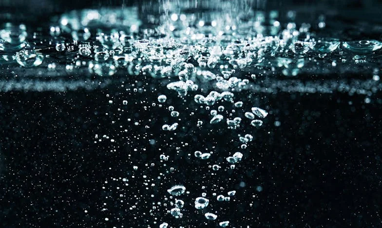 Demasiado tarde entendí mi error