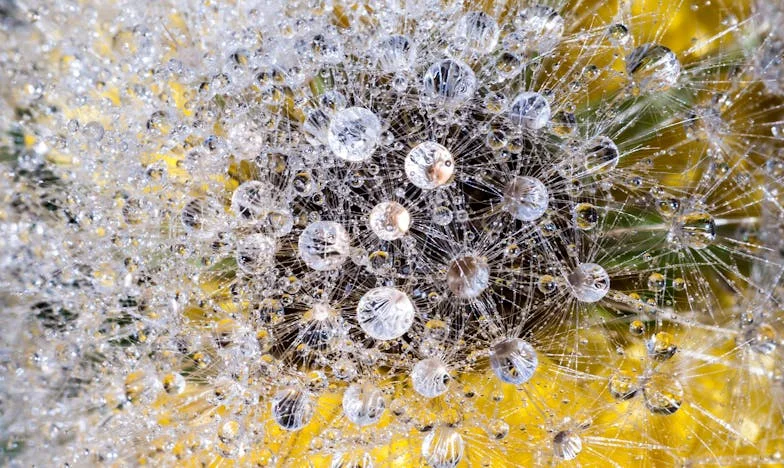 Ecos de un hogar vacío: La noche en que todo cambió