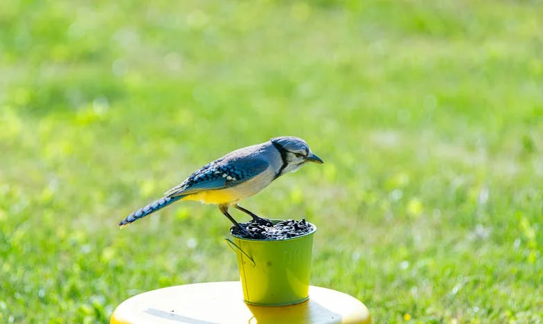 El cumpleaños de mi hija y el silencio de mi corazón