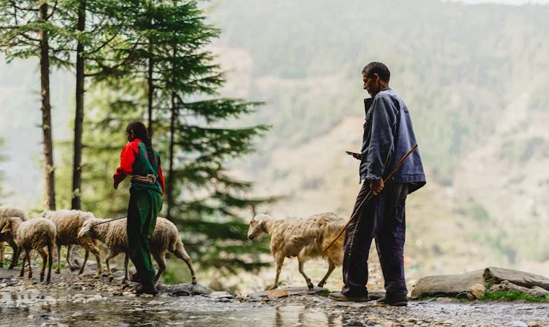 El Pecado de los Naranjos: Amor Prohibido en el Pueblo