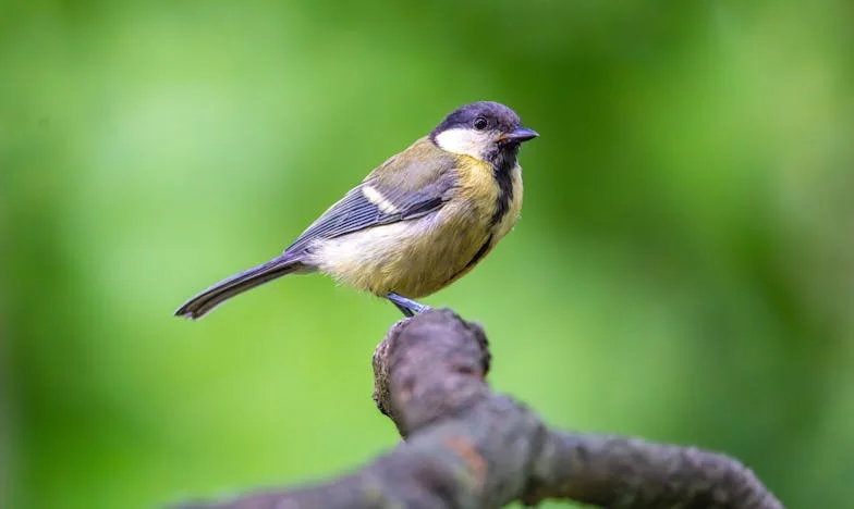 El Secreto que Rompió mi Familia