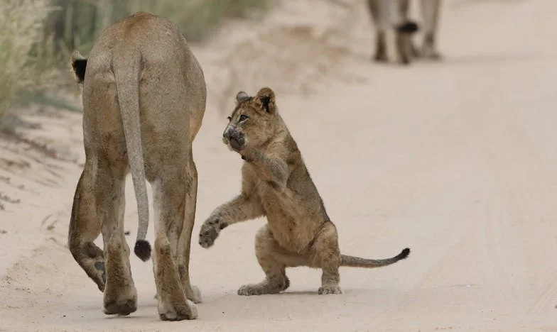 Entre el amor y el rechazo: Mi nueva familia