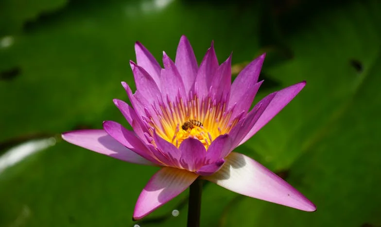 Entre la cuna y el umbral: Cuando la familia invade el hogar