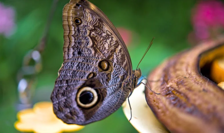 Entre Puré de Papas y Secretos: Una Noche en la Cocina de la Esperanza