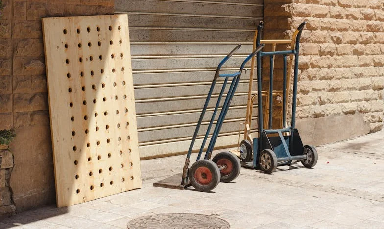 Entre Sombras y Esperanzas: La Historia de Michalina