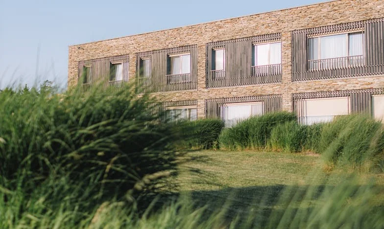 Entre Sombras y Susurros: La Guerra Silenciosa con mi Suegra