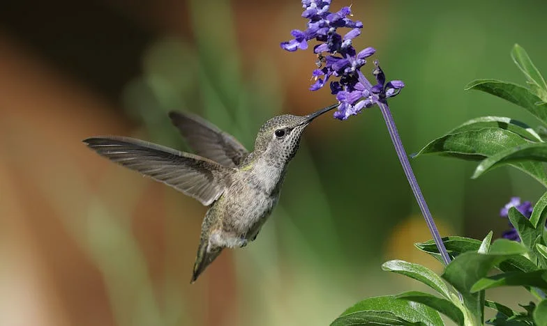 Los Tres Amores de Mi Vida: Un Viaje Entre el Dolor y la Esperanza