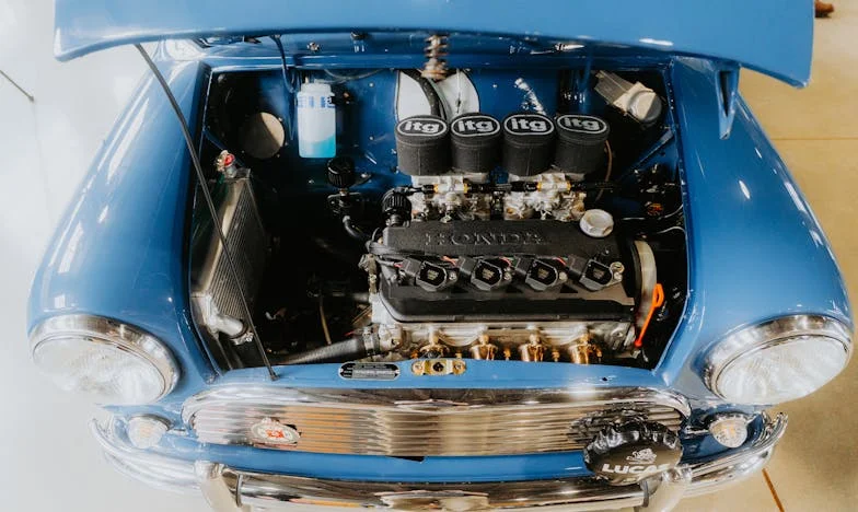 Me levanté para que nadie más ganara: La historia de la abuela Hilda y el abuelo Tomás