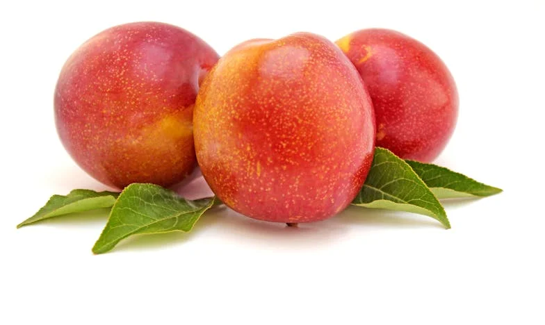 Nunca supe amar: La carta que cambió mi destino