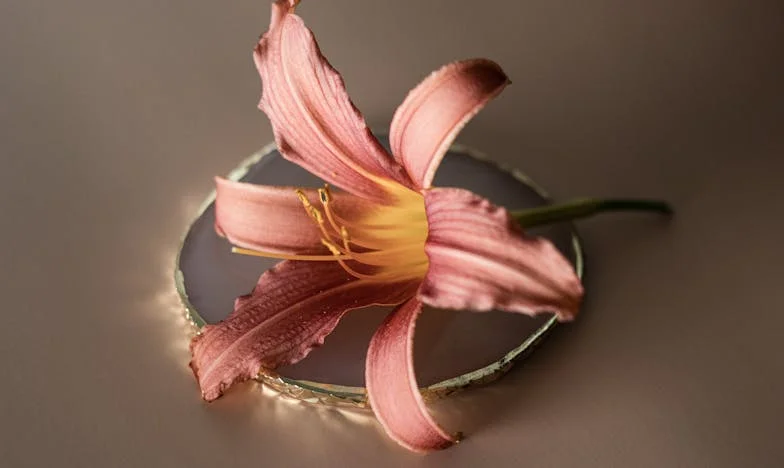 Renacer entre Sombras: La Historia de Mariana y su Lucha por la Libertad