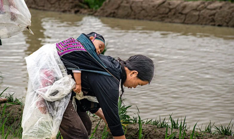 Sombras en el refugio costero: La noche en que todo cambió