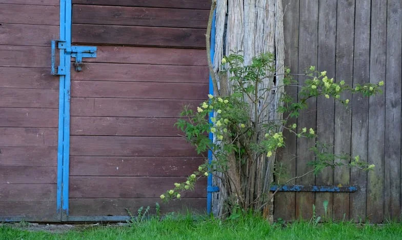 Sombras en la casa junto al mar