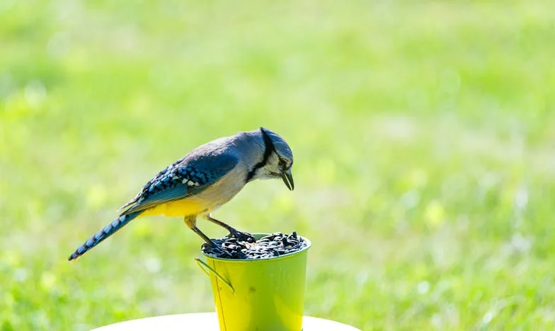 Sombras en la casa junto al mar