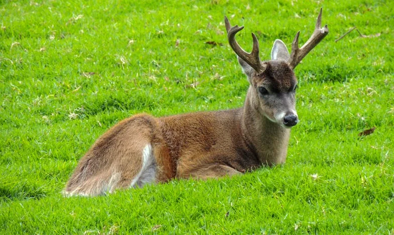 Un Amor en Línea: Entre la Esperanza y la Despedida