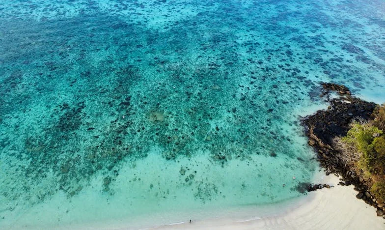 Caminando entre las nubes: Una historia de redención y familia