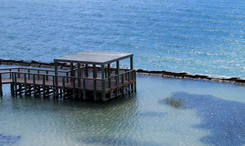 Casa de Esperanza: El Silencio Bajo la Lluvia