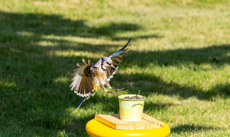 ¿Cómo pudiste ocultármelo?