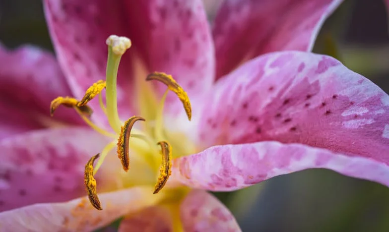 Cuando el amor se va: La historia de Krystina