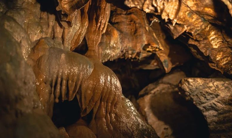 Cuando el Olvido Toca la Puerta: Un Día con Mamá Elena