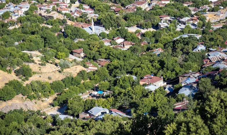 Cuando la abuela se pierde: una familia al borde