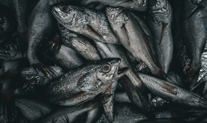 Cuando la puerta se cerró de golpe: Una visita inesperada que cambió mi familia