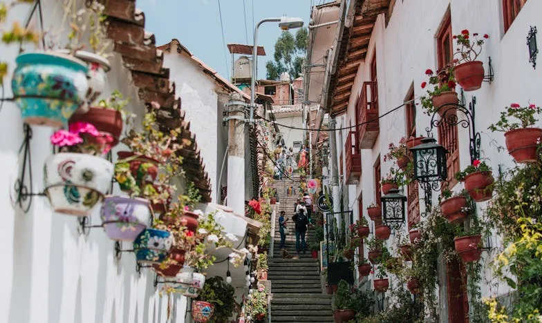Cuando Mi Suegra Se Mudó: Entre Sombras y Secretos en Casa