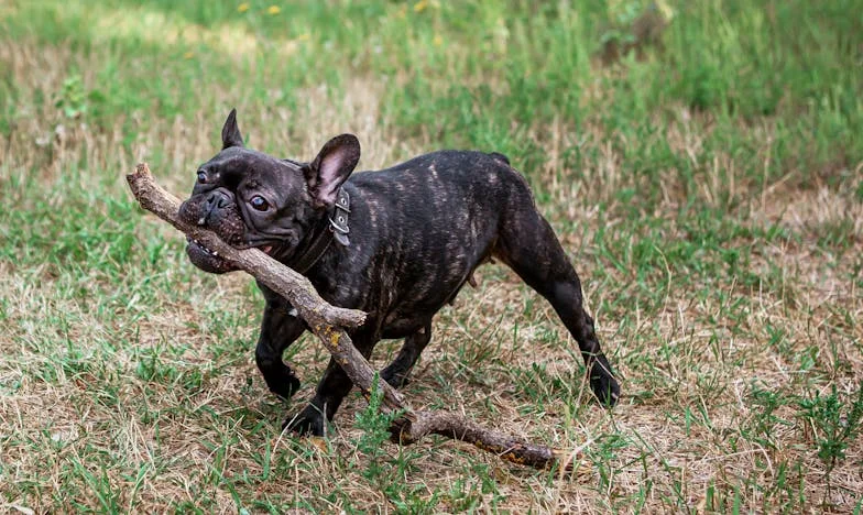 ¿De verdad me dejó a mi nieta?