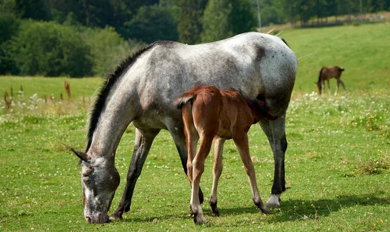¿De verdad me dejó a su hija?