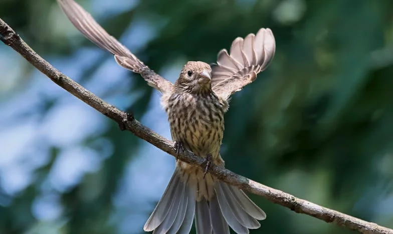Después de la Tormenta: Aprendiendo a Elegir Mi Propia Felicidad