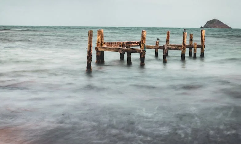 ¿Divorcio? ¡Me quedo con papá!
