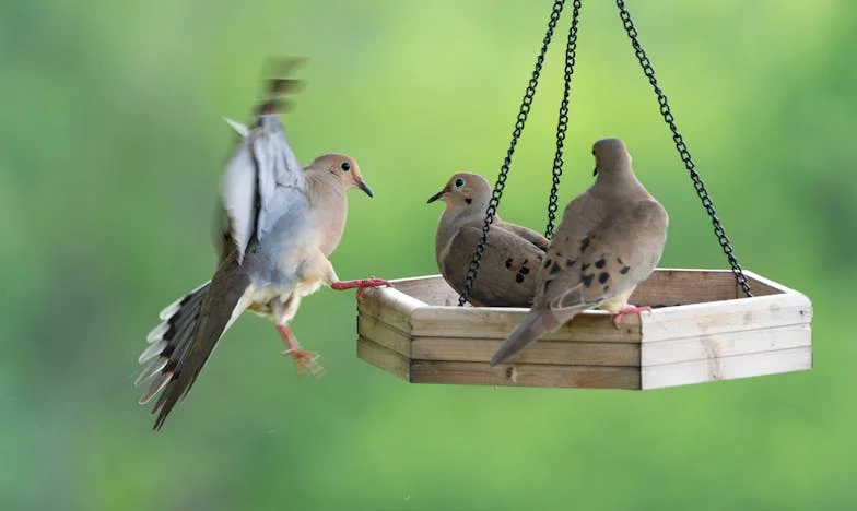 Dos noches y un día: El precio de una decisión