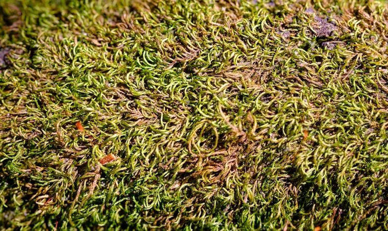 El descanso que nunca llegó: una visita inesperada a la ciudad