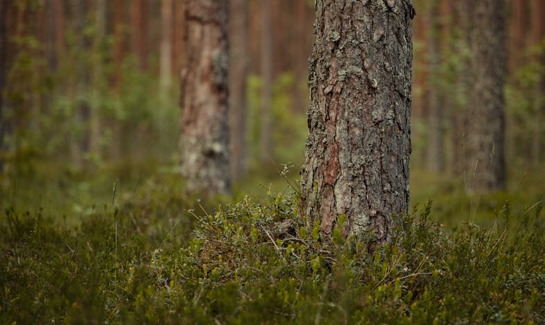 El día que entendí que mi hijo no escuchaba